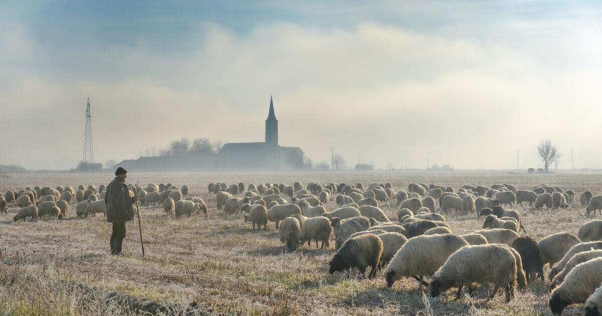 Galerija Suprug Je Po Alje Po Dio Za Traktor A Ona Usput Napravi I