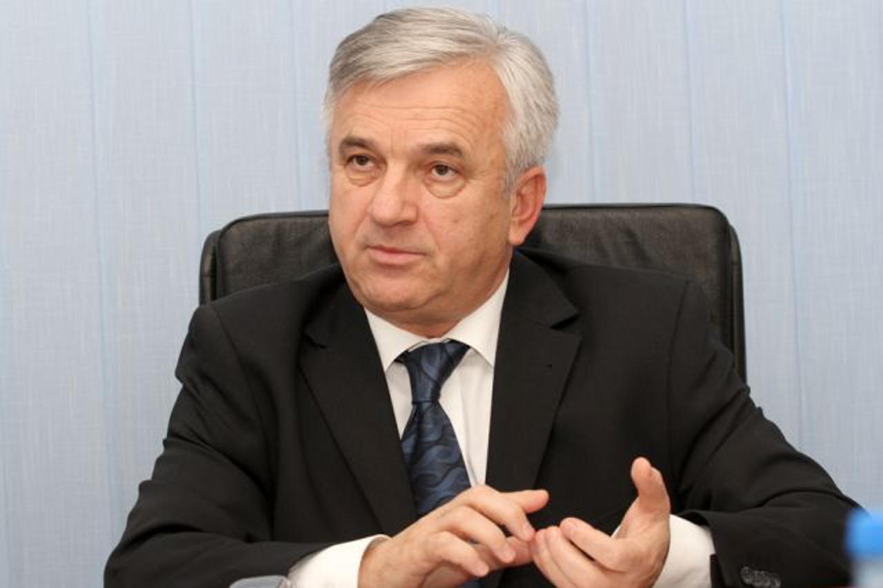 Nedeljko Čubrilović